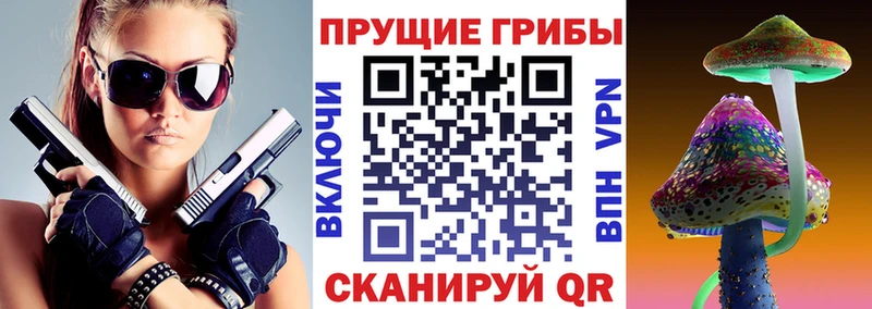 Галлюциногенные грибы Cubensis  OMG ссылки  Салаир 